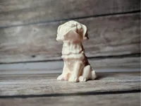0.1mm layer, 2 walls, 5% infill