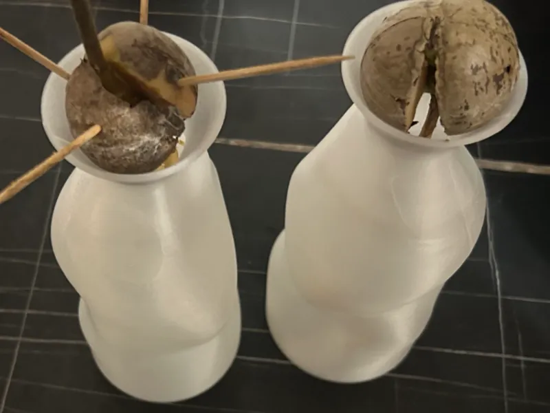vasos