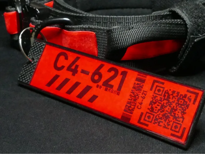 C4-621 Keychain tag 