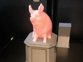 TROFEO CERDO