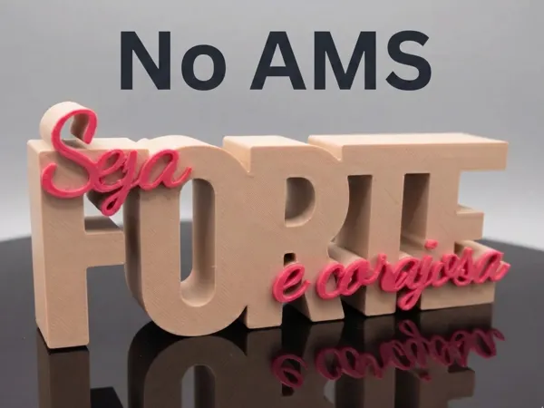 https://makerworld.bblmw.com/makerworld/model/USfa3c295efd274c/design/f8600bcda6cb718b.png
