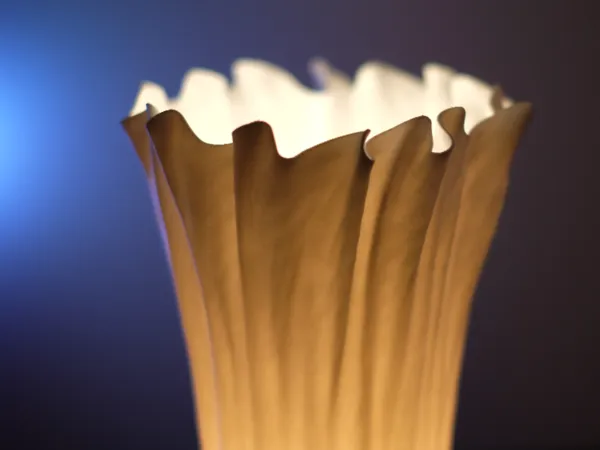 https://makerworld.bblmw.com/makerworld/model/USfa3f65582e863e/design/2024-08-03_cb782bddfa092.jpg
