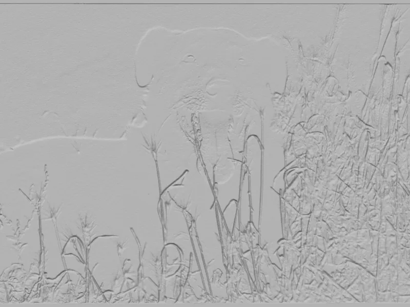 Buddy Lithopone