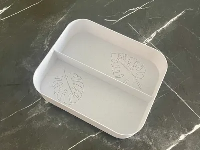 Two-Space Organizer Tray - Minimal Monstera