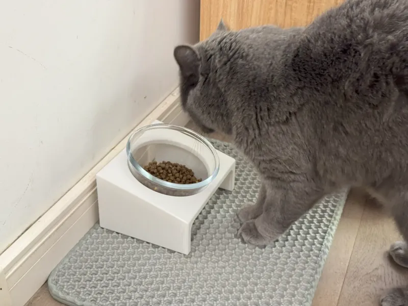 Cat Bowl Stand - 115mm diameter
