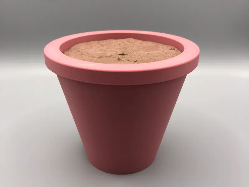 Rose plant pot with fake looking soil