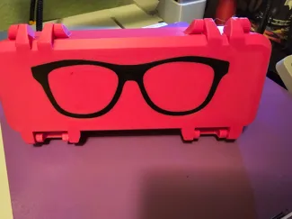 Sunglass Case