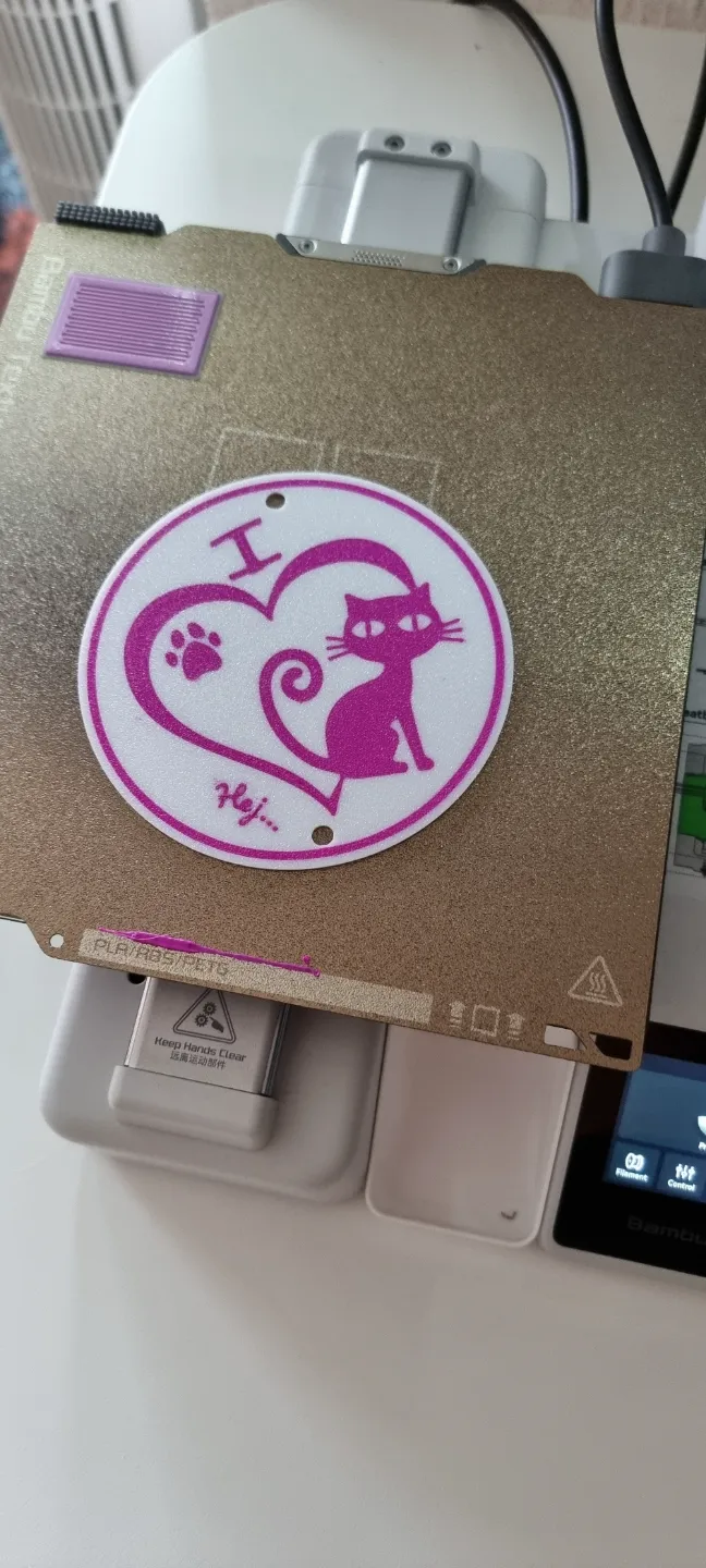 Cat sign