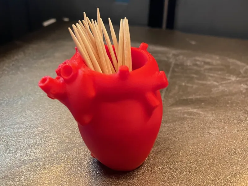 Anatomical Human Heart – Toothpick Holder