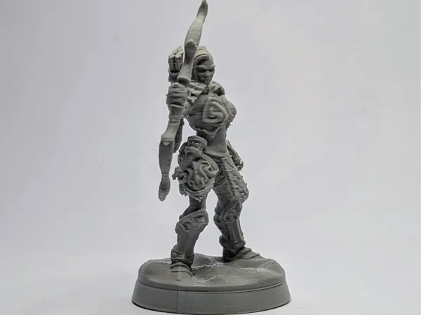 https://makerworld.bblmw.com/makerworld/model/USfa6020a33d6daa/design/2025-06-22_354094b6411dd8.jpeg