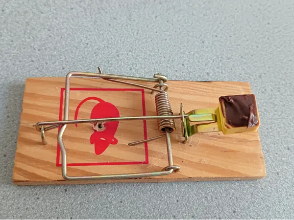 https://makerworld.bblmw.com/makerworld/model/USfa62080d105ce2/design/2025-08-19_c38ff154300ed.jpg