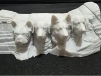 0.2mm layer, 2 walls, 15% infill