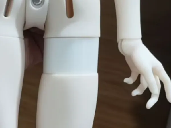 https://makerworld.bblmw.com/makerworld/model/USfa6714af262800/design/2025-07-15_e8499aae919e98.jpg