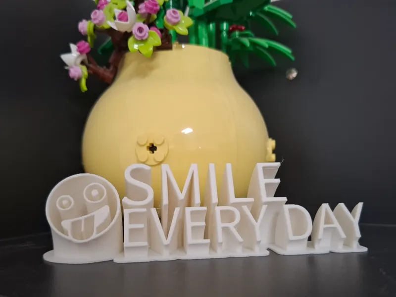 (: SMILE EVERY DAY