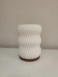 0.2mm layer, 2 walls, 5% infill