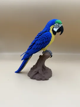 Modelo para impresión 3D: Tropical Majesty – Blue & Yellow Macaw — vista de referencia 3