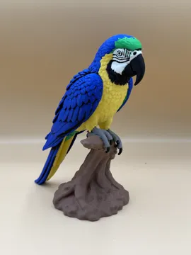 Modelo para impresión 3D: Tropical Majesty – Blue & Yellow Macaw — vista de referencia 4