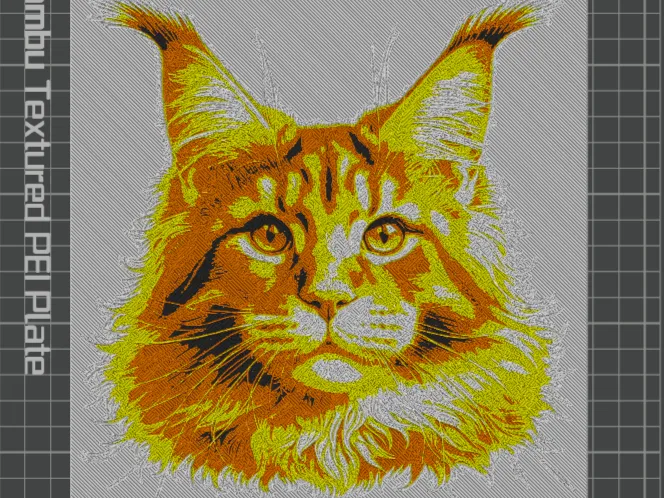Beautiful maine-coon cat