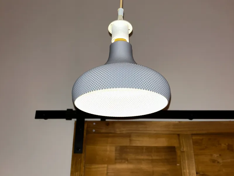 Organic modern lamp shade (vase mode print)