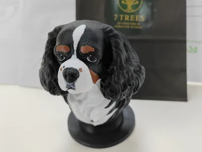 Cavalier / Chevalier Bust - AMS optimised