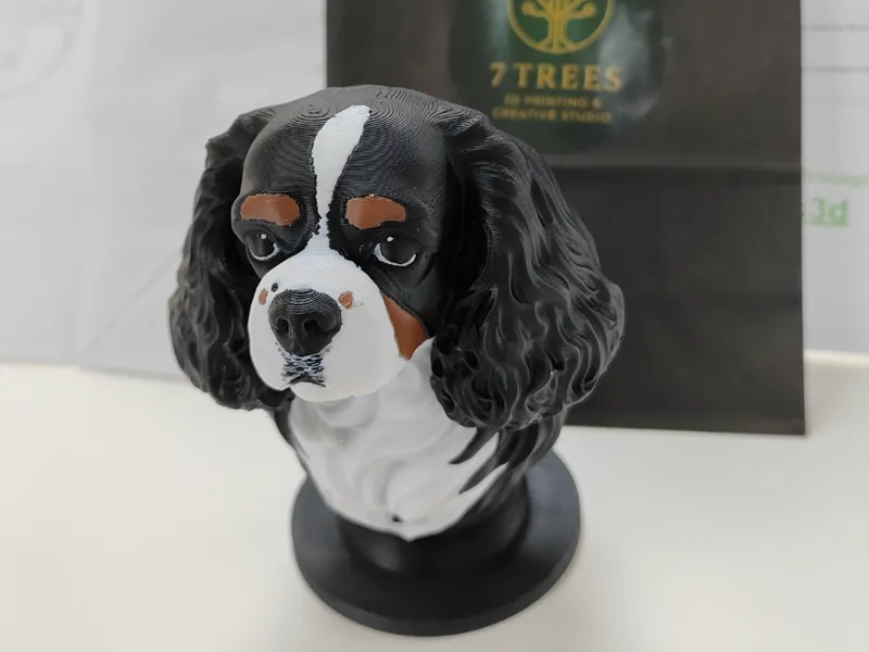 Cavalier / Chevalier Bust - AMS optimised