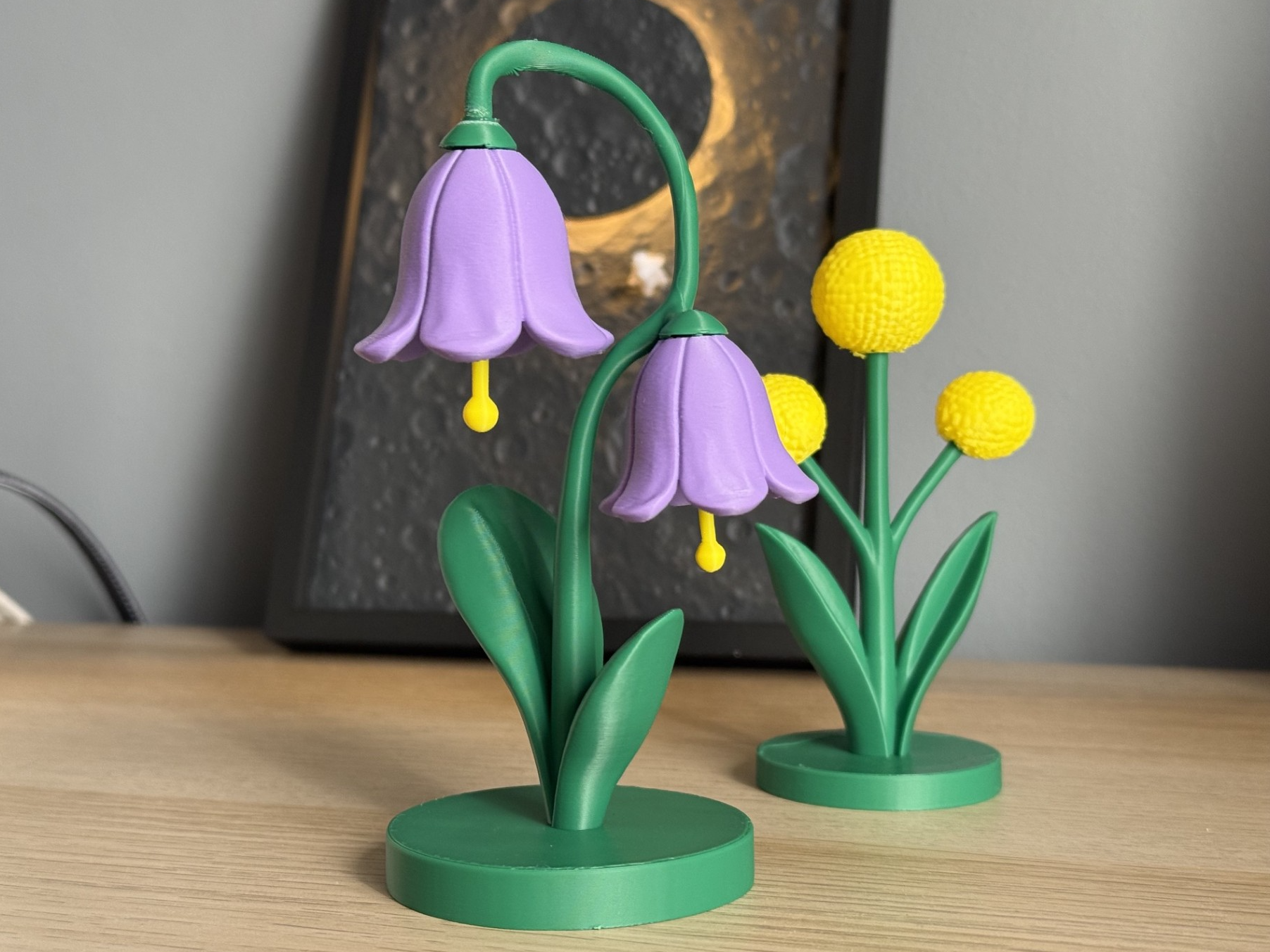 Miniatura 1 do modelo 3D Modern Bloom Set – Bellflower + Billy Button 