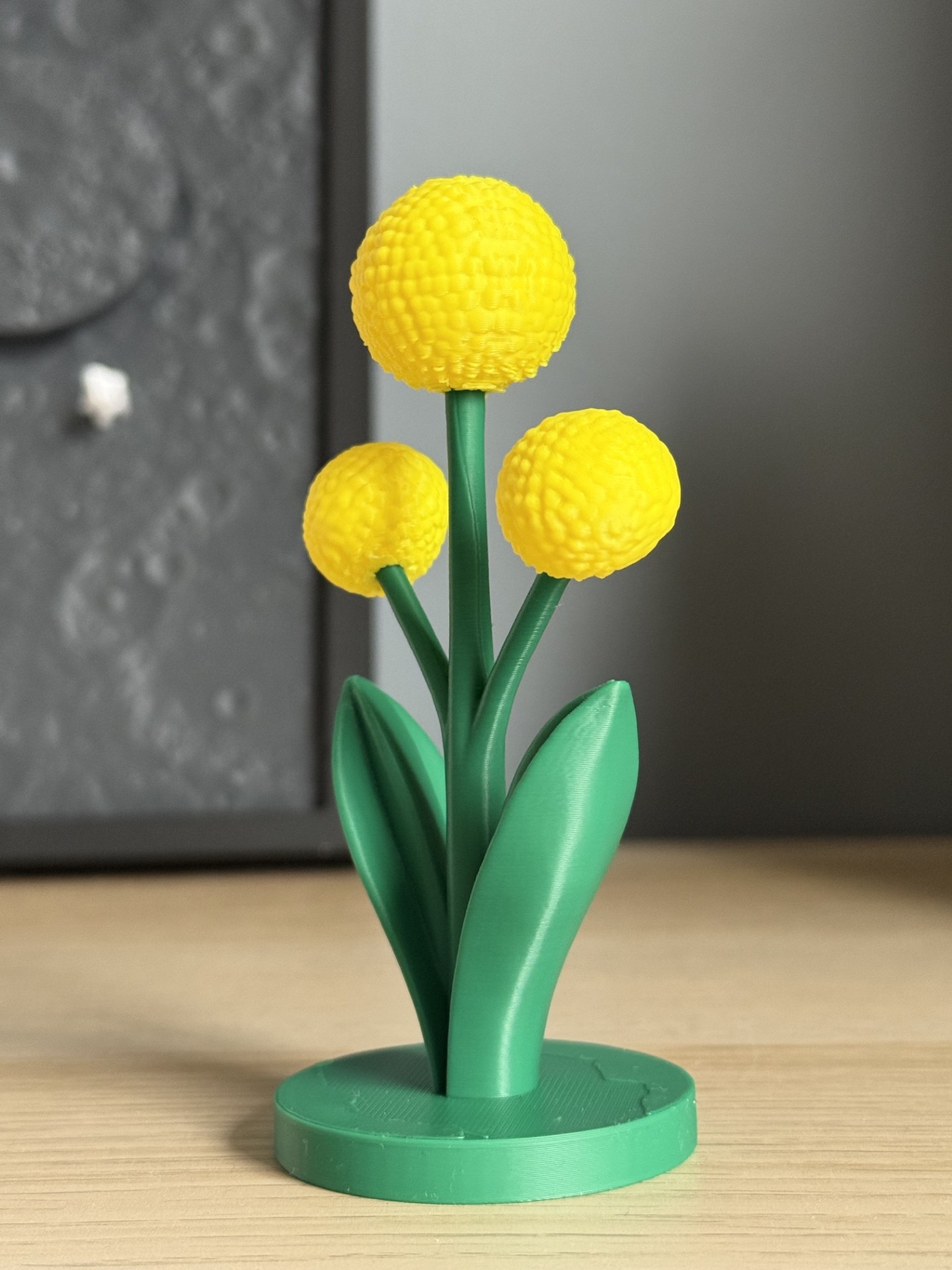 Miniatura 2 do modelo 3D Modern Bloom Set – Bellflower + Billy Button 