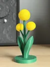 0.2mm layer, 2 walls, 5% infill