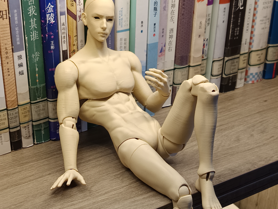 人型可动玩偶男体（需组装）