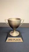 Trophy Option 3