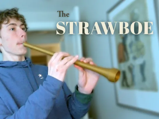The Strawboe-The First 3d Printed Double Reed Oboe by TH Designs ...