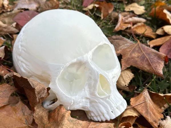 https://makerworld.bblmw.com/makerworld/model/USfa7c2a374f0a69/design/2024-10-29_567f17eac04d7.jpg