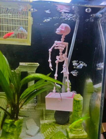 Foto 5