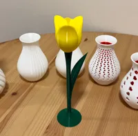 Fleur de tulipe avec tige, support et vases — photo 7