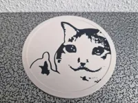 0.16mm layer, 2 walls, 15% infill