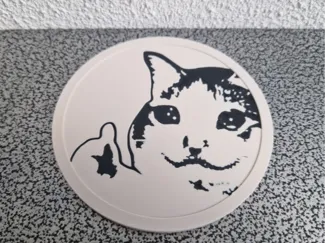 Thumbs Up Cat Coaster (Meme Coaster)