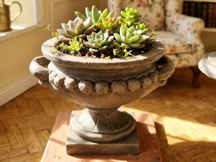 Miniature Garden Urn Planter