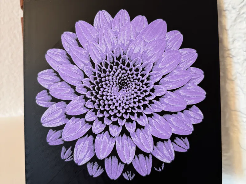 Chrysanthemum HueForge