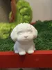 Cute Puppy - Monochromatic