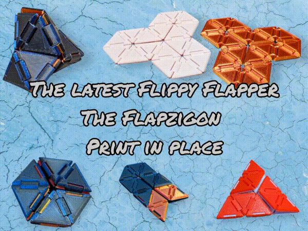 https://makerworld.bblmw.com/makerworld/model/USfa97adf760811c/design/2024-12-12_ac2a7b5febb8c.gif