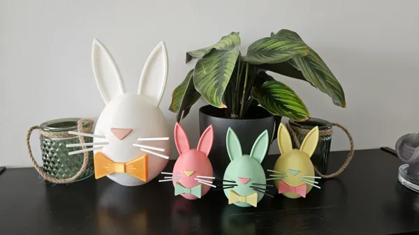https://makerworld.bblmw.com/makerworld/model/USfa99bce216481e/design/2024-03-16_afc6ccdb84655.jpeg