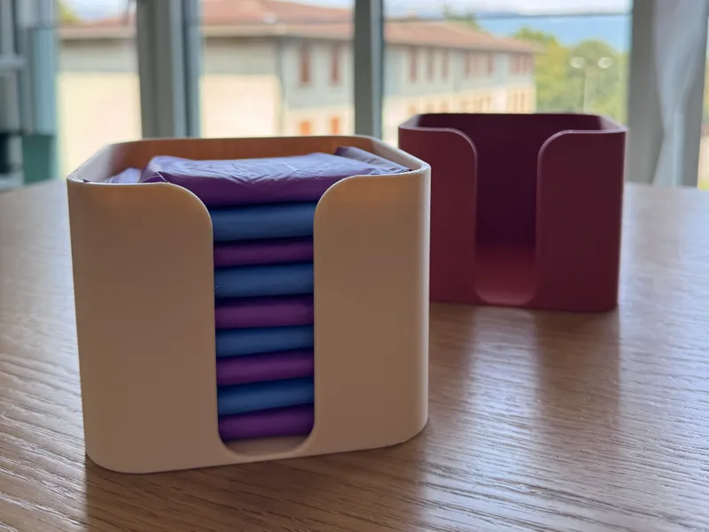 Minimalist sanitary pad organizer