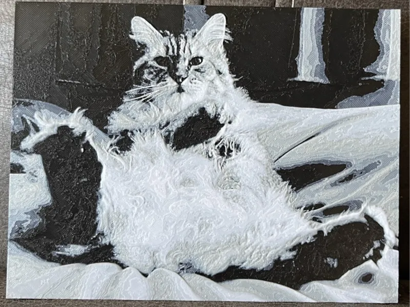 Fluffy Cat Relaxing