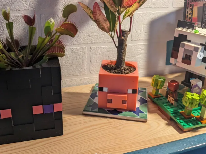 Pots de fleurs Minecraft – Enderman & Cochon