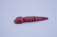 head, 1 body segment, tail