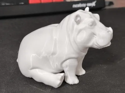 Cute hippo