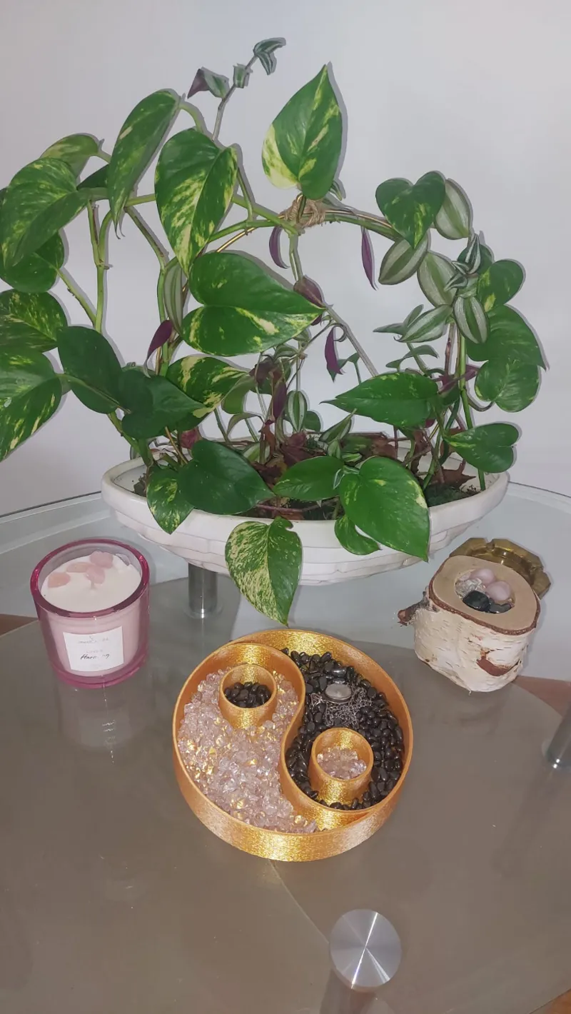 Yin Yang garden or tray for energy stones