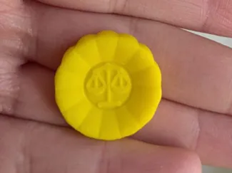 Ace Attorney - Phoenix Wright Attorney Badge