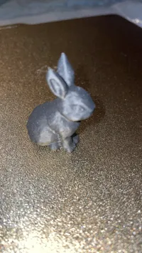 Extra Fine 0.08mm layer, 2 walls, 10% infill