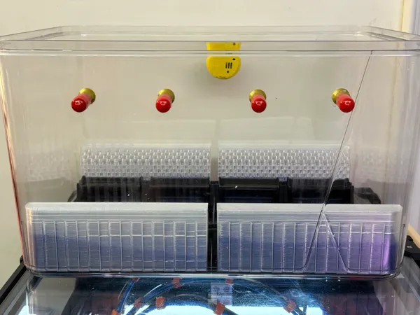 https://makerworld.bblmw.com/makerworld/model/USfabd653c068682/design/2025-07-20_d5120fcf2b86c8.jpg
